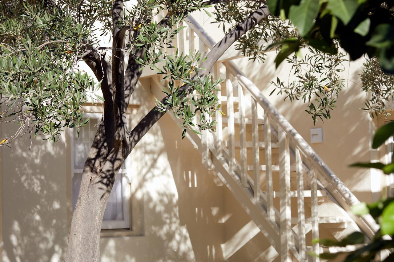 Prince Albert Country Stay Esterno foto